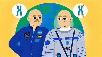 Twins And Telomeres-In Space!